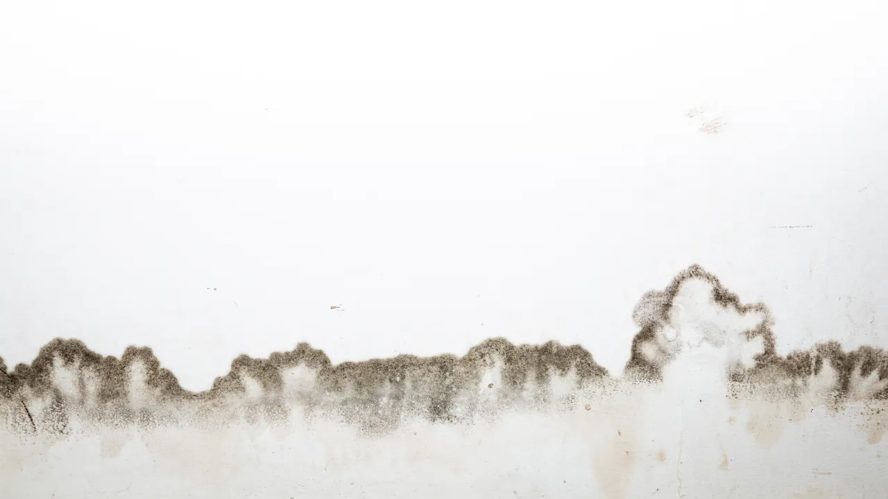 Tide-marked wall