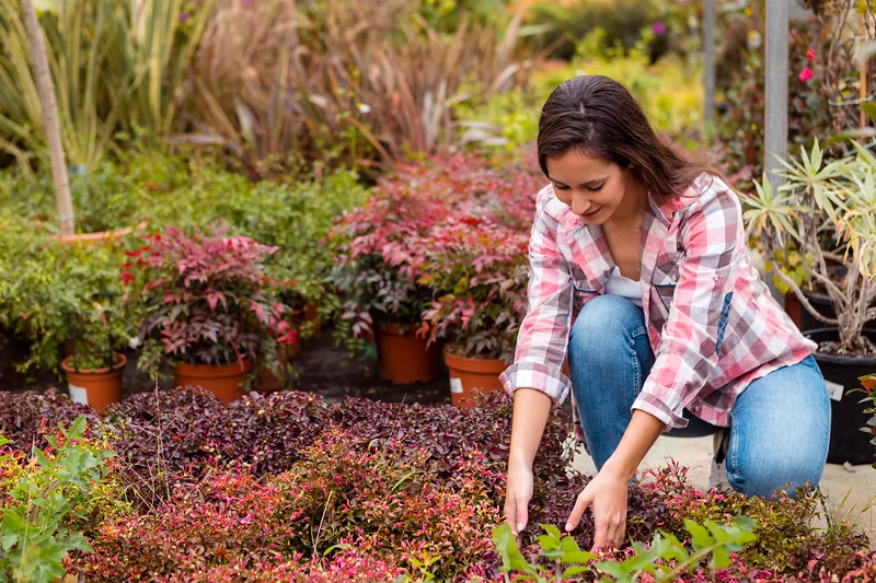 Woman kneeling to arrange plants in a colourful garden border