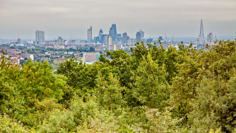 The London skyline seen over the trees from the high ground of Hampstead and Highgate in North London
