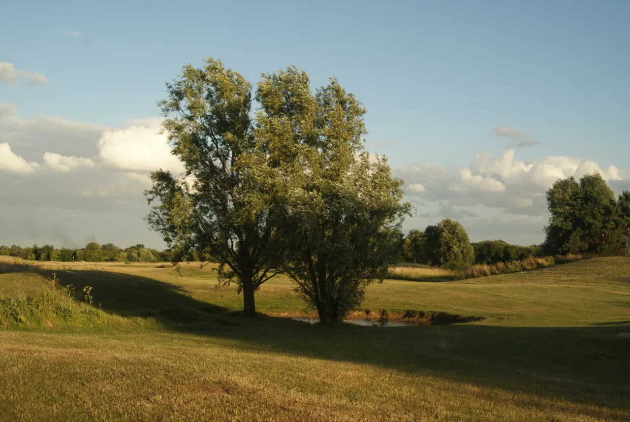Fairlop Waters Golf Course, part of the country park near Aldborough Hatch
