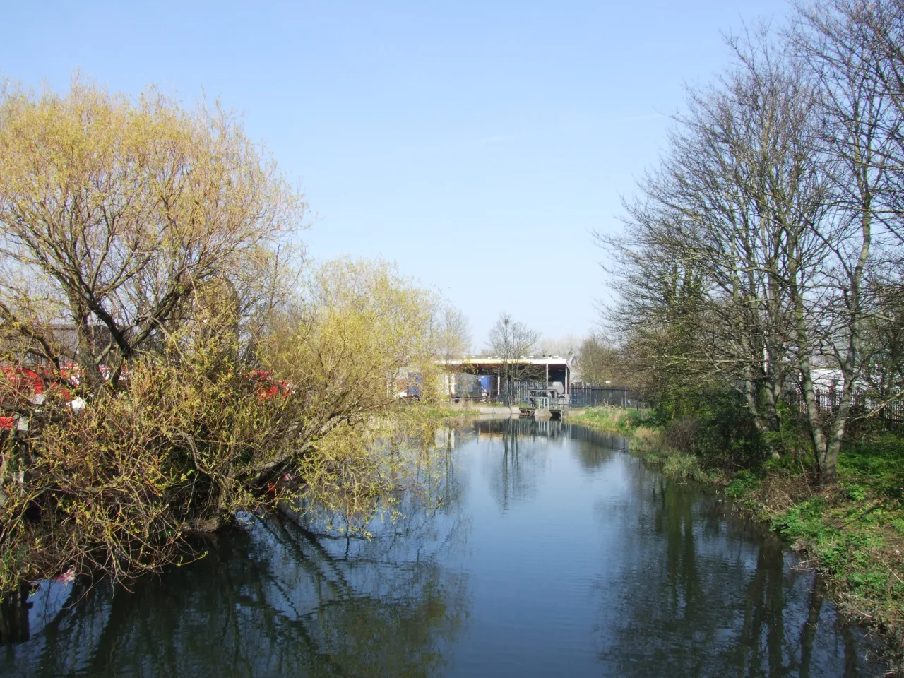 The River Cray near Barnes Cray, lined with trees