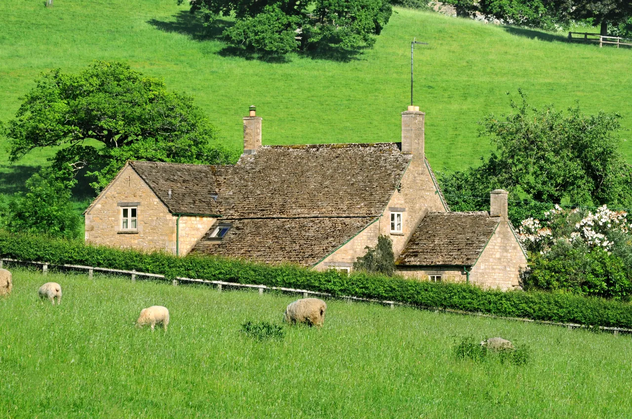 Single stone farmhouse guest house set in a green field with grazing sheep, English countryside