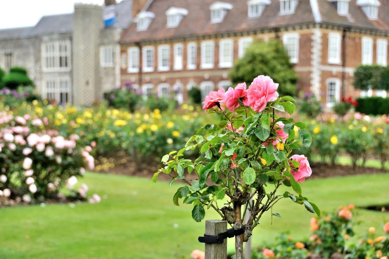 Hall Place, the Tudor manor house and gardens near Bexley Village