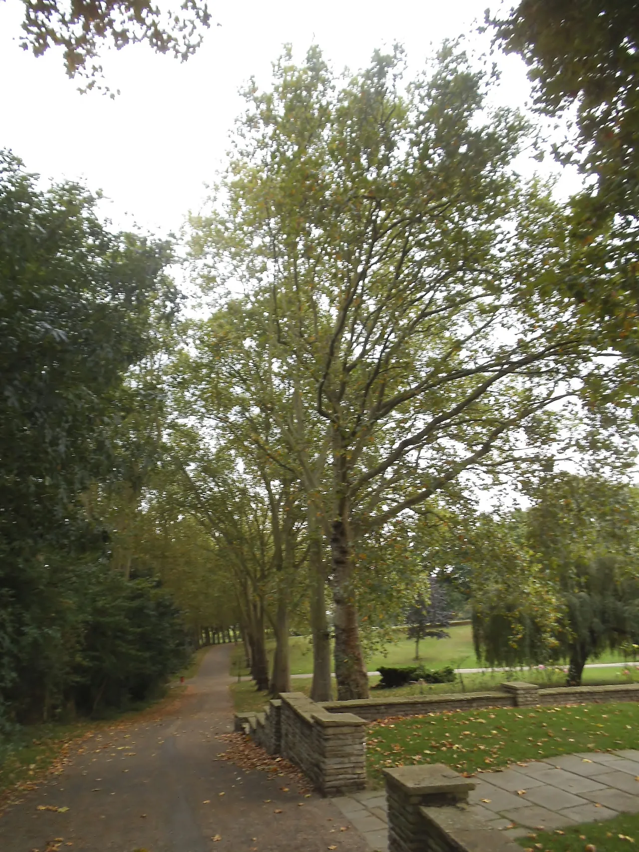 Gladstone Park, a green space in Brent, near Dollis Hill and Cricklewood