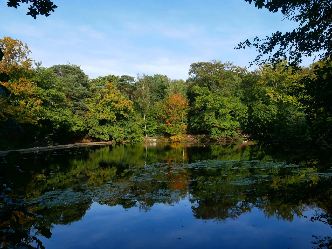 Keston Ponds on Keston Common under autumn trees, in the Green Belt south of the London Borough of Bromley
