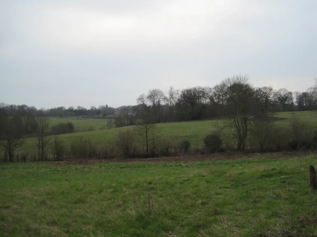 Open fields at Scadbury Park, the historic parkland on the edge of Chislehurst