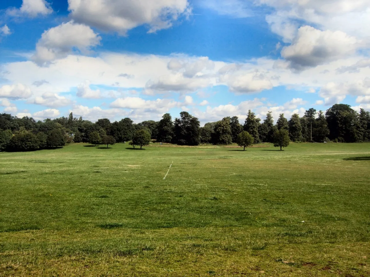 Open grassland in Lloyd Park, bordering the Coombe estate in Croydon