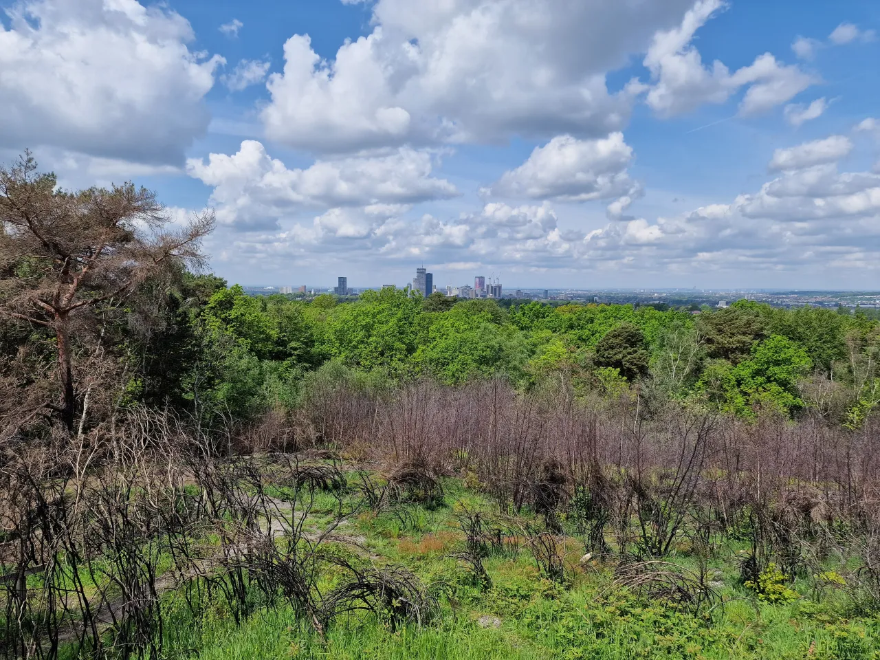 View across Croydon from Addington Hills woodland, immediately south of Coombe