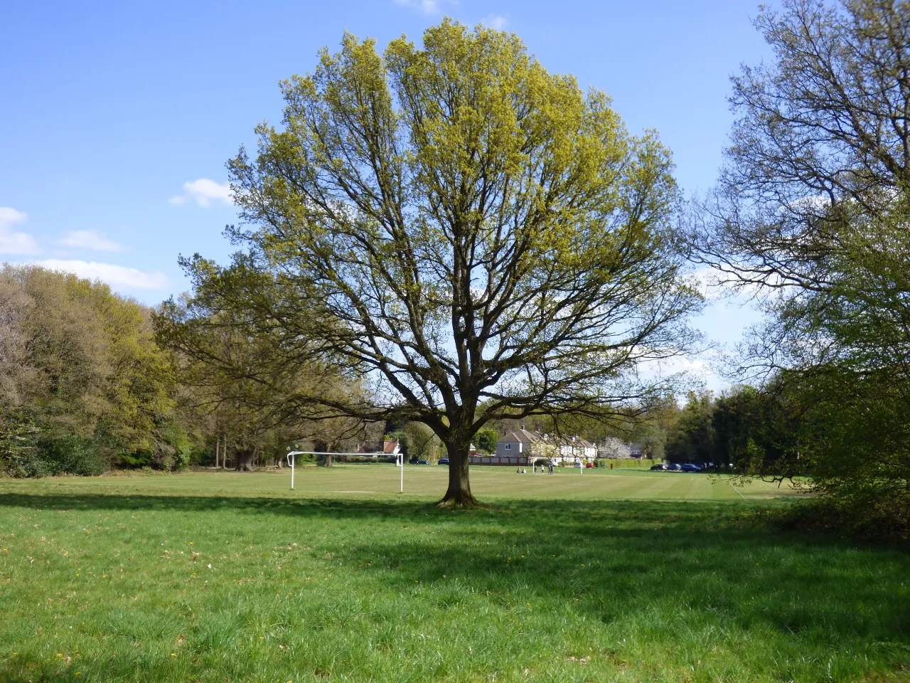 Open grassland at Coulsdon Common, the downland edging the suburb