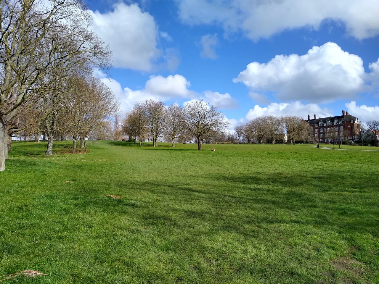 Open green space in Hilly Fields Park, on the edge of Crofton Park
