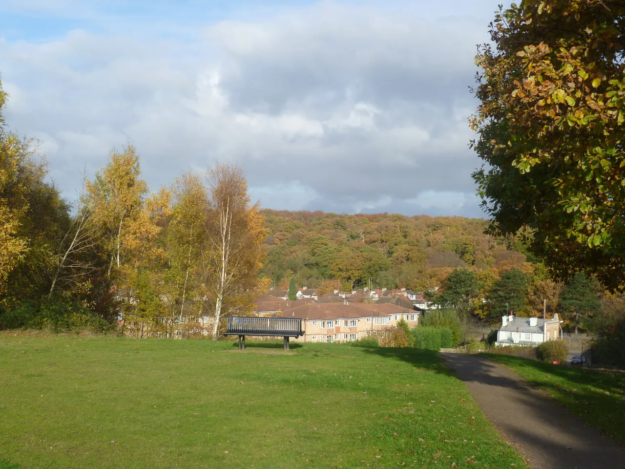 Houses bordering East Wickham Open Space, with Bostall Woods on the skyline