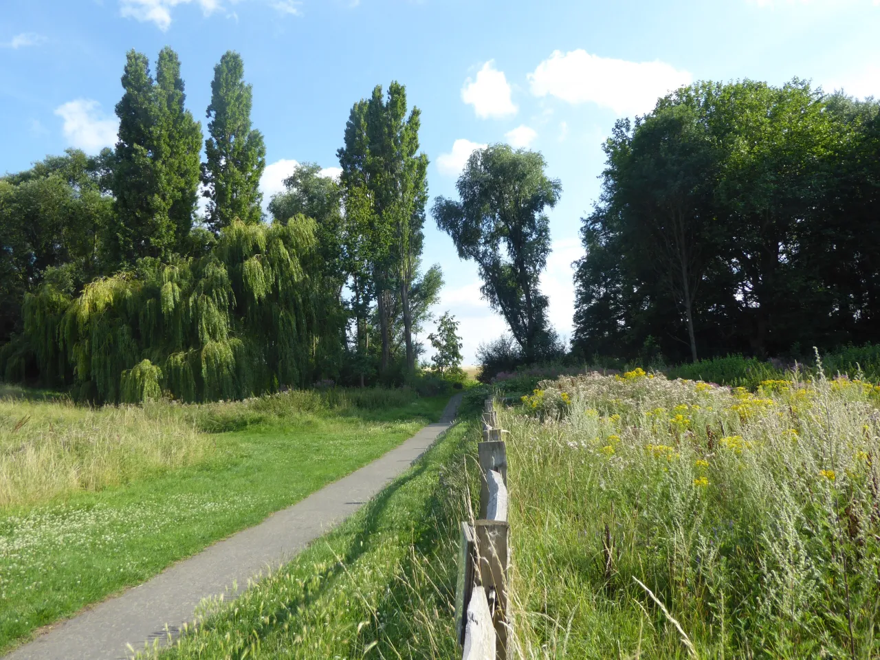 A path through East Wickham Open Space, the local park bordering the neighbourhood