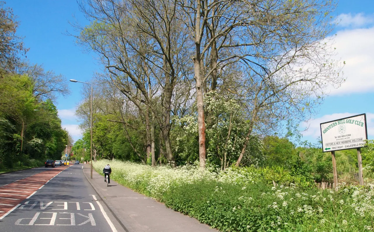 Tree-lined road on Shooters Hill, SE18, near Falconwood