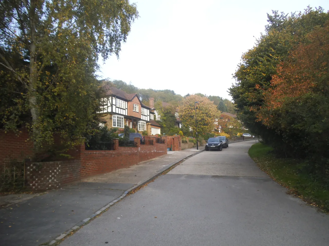 Farleigh Dean Crescent in Forestdale, Croydon, a tree-lined residential road on the estate