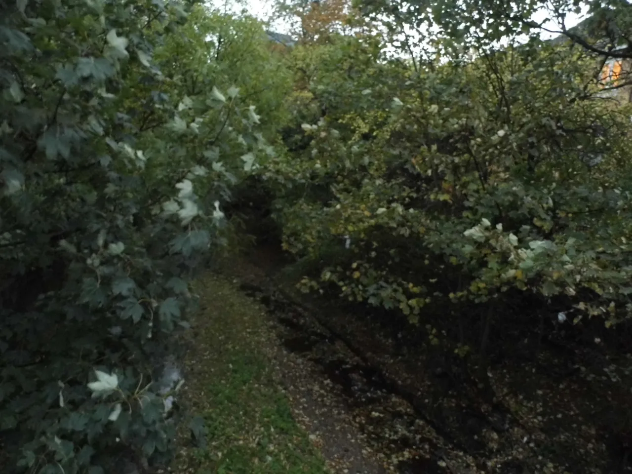 Turkey Brook running beside Hertford Road in Freezywater, near the Hertfordshire county line
