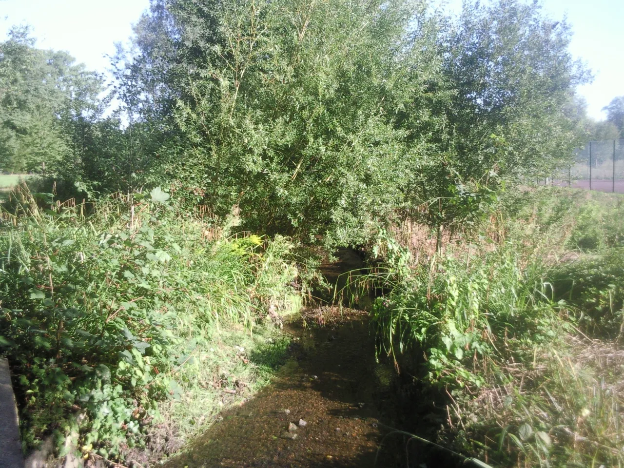 The Quaggy River running through Chinbrook Meadows near Grove Park, Lewisham