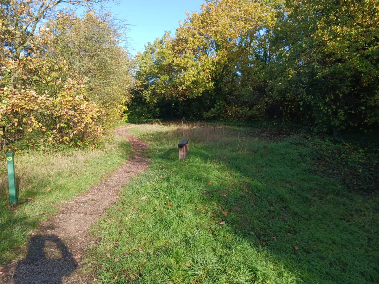 Path through Grove Park Nature Reserve in Lewisham