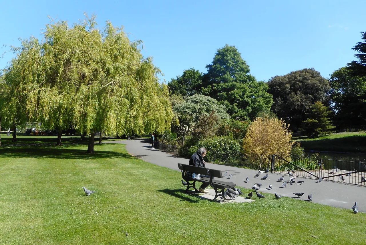 A visitor feeding birds on the grass in Ravenscourt Park
