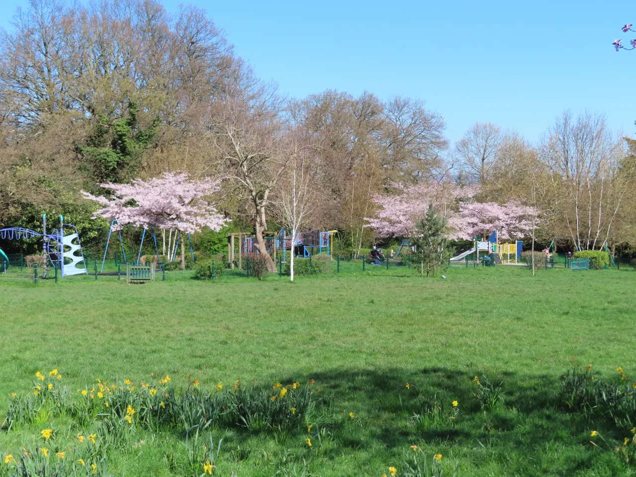 Hanger Hill Park, Ealing, with blossom trees and the children's play area