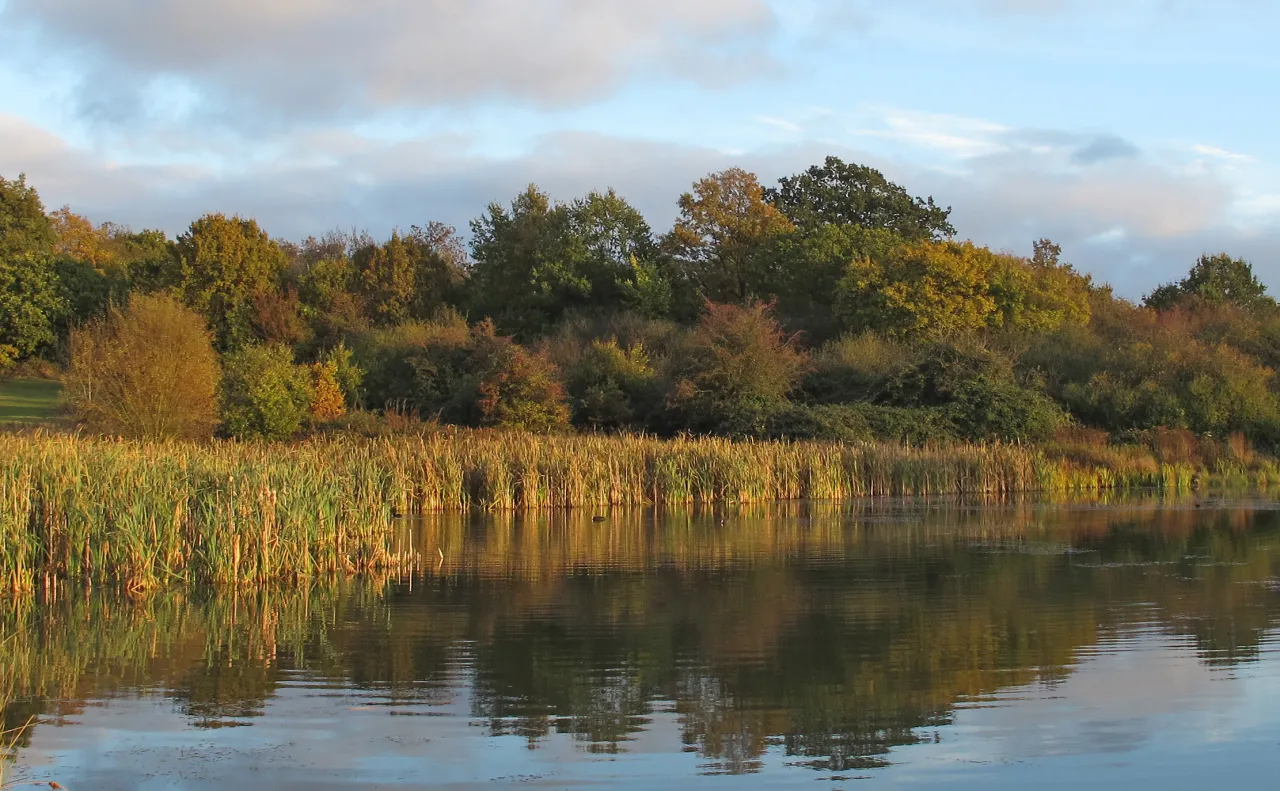 Bedfords Lake in Bedfords Park, near Havering-atte-Bower