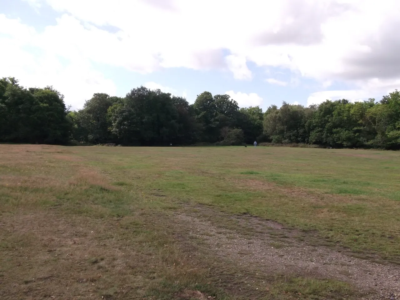 Open grassland at Hayes Common bordered by woodland