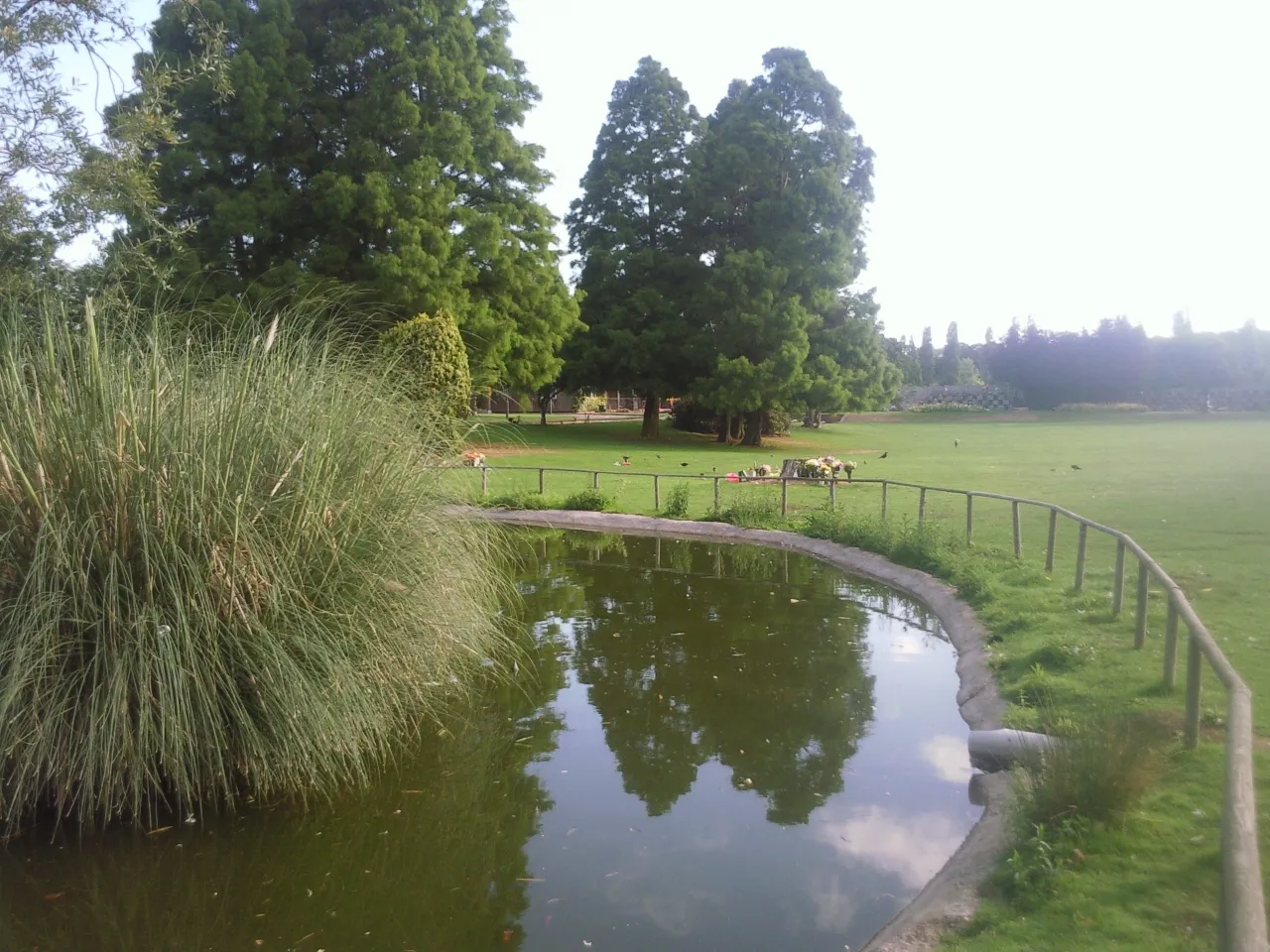 The pond in Hither Green Cemetery
