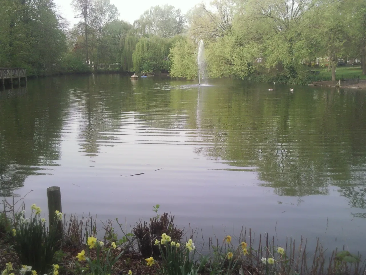 The lake in Manor House Gardens near Hither Green
