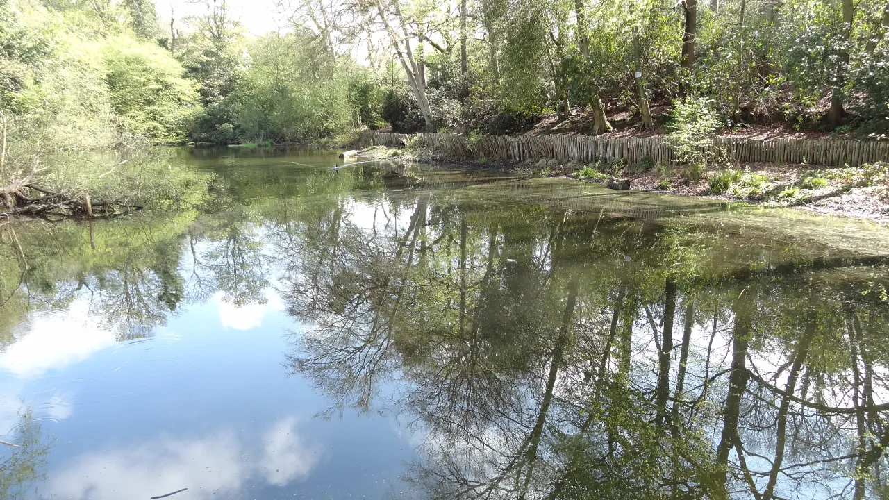 Lower Lake on Keston Common, a well-known local beauty spot