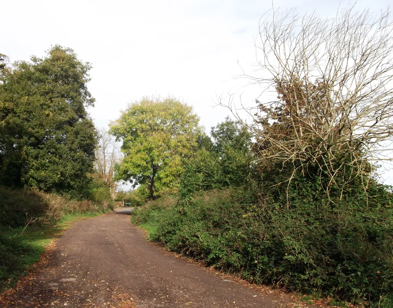 Norheads Lane, a country lane in Biggin Hill near Leaves Green