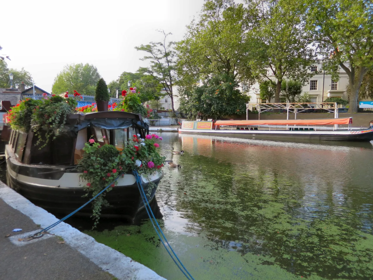 Narrowboats moored along Blomfield Road canalside, Little Venice
