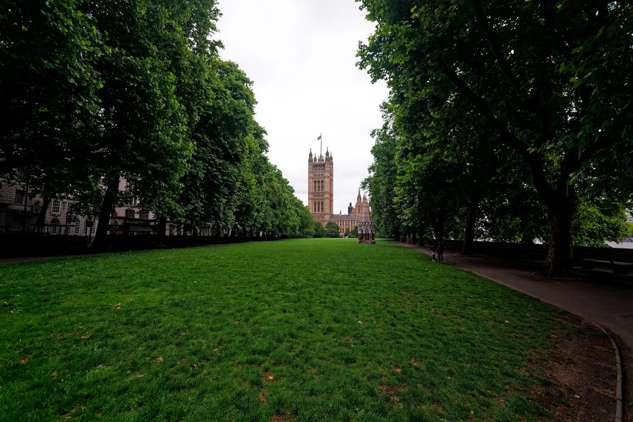 Victoria Tower Gardens, the tree-lined lawn beside Millbank with Victoria Tower behind