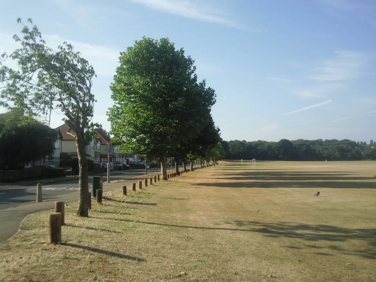 Mottingham Sports Ground alongside Court Farm Road