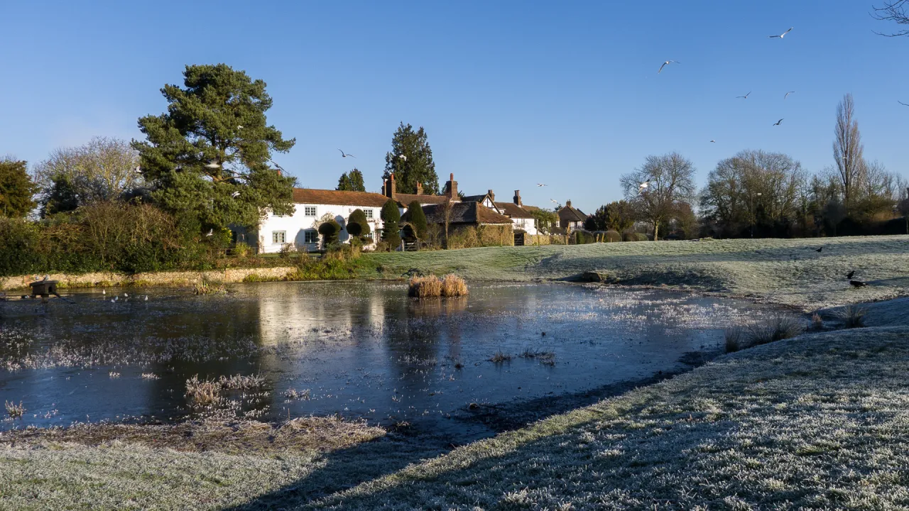 Bradmore Green pond in Old Coulsdon, part of the conservation area, on a frosty morning