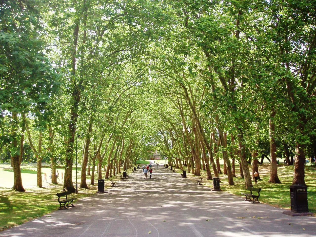 The tree-lined avenue in Crystal Palace Park, near Penge