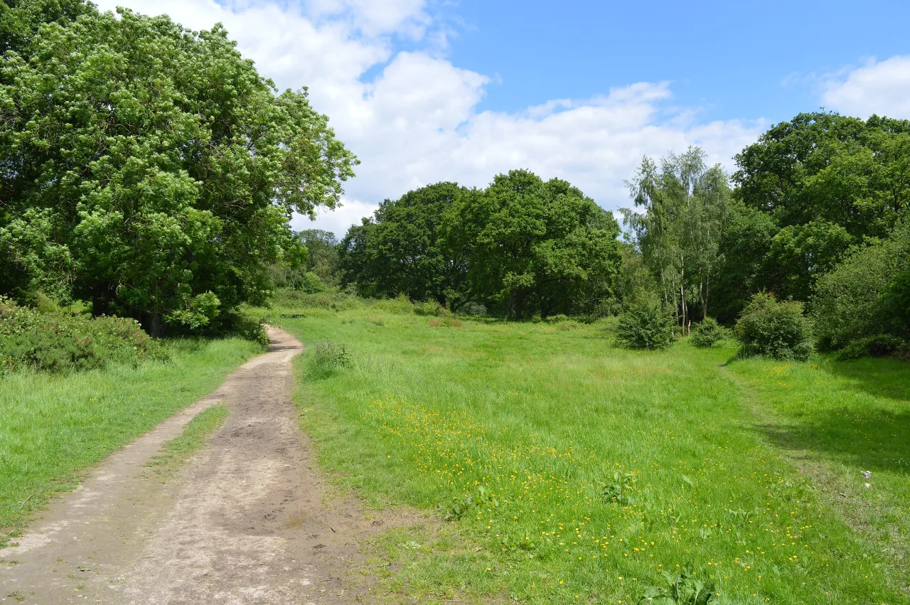 Path through open grassland and trees in Ruislip Woods
