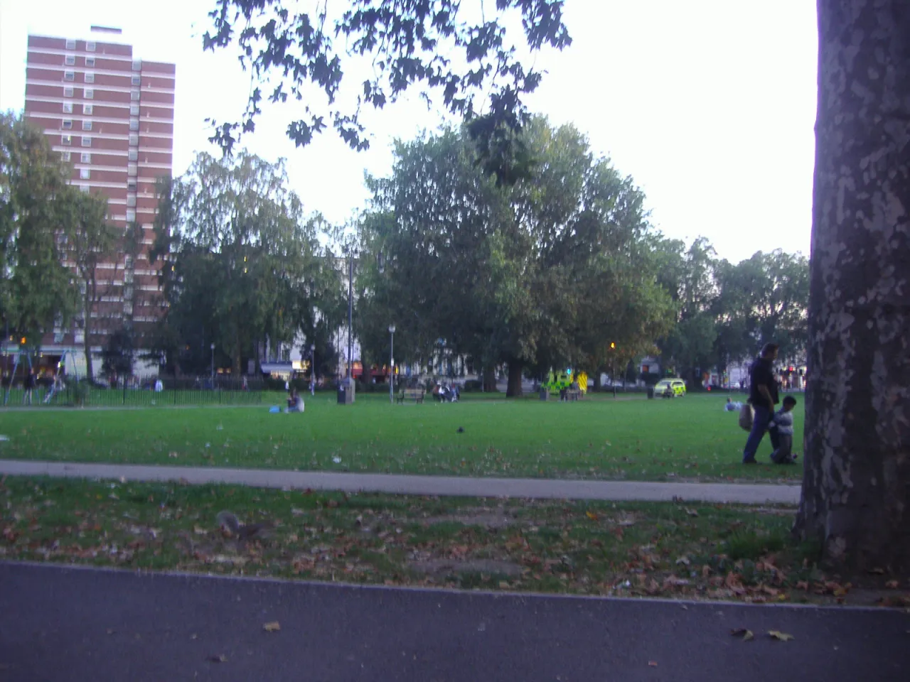 Shepherds Bush Green, open grass with trees, people relaxing and tower blocks behind