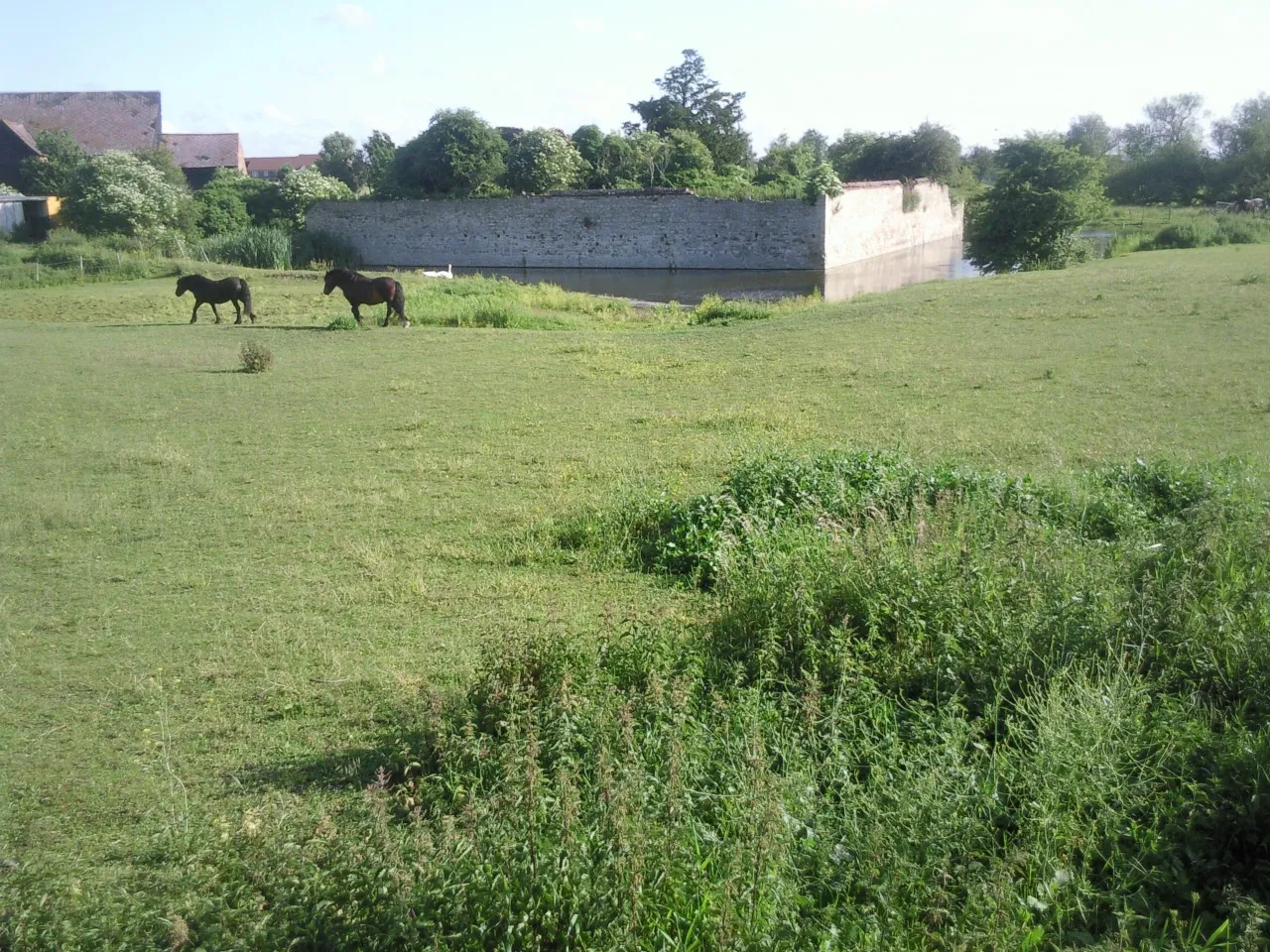 Horses grazing near the historic moat wall at Howbury Farm, Slade Green