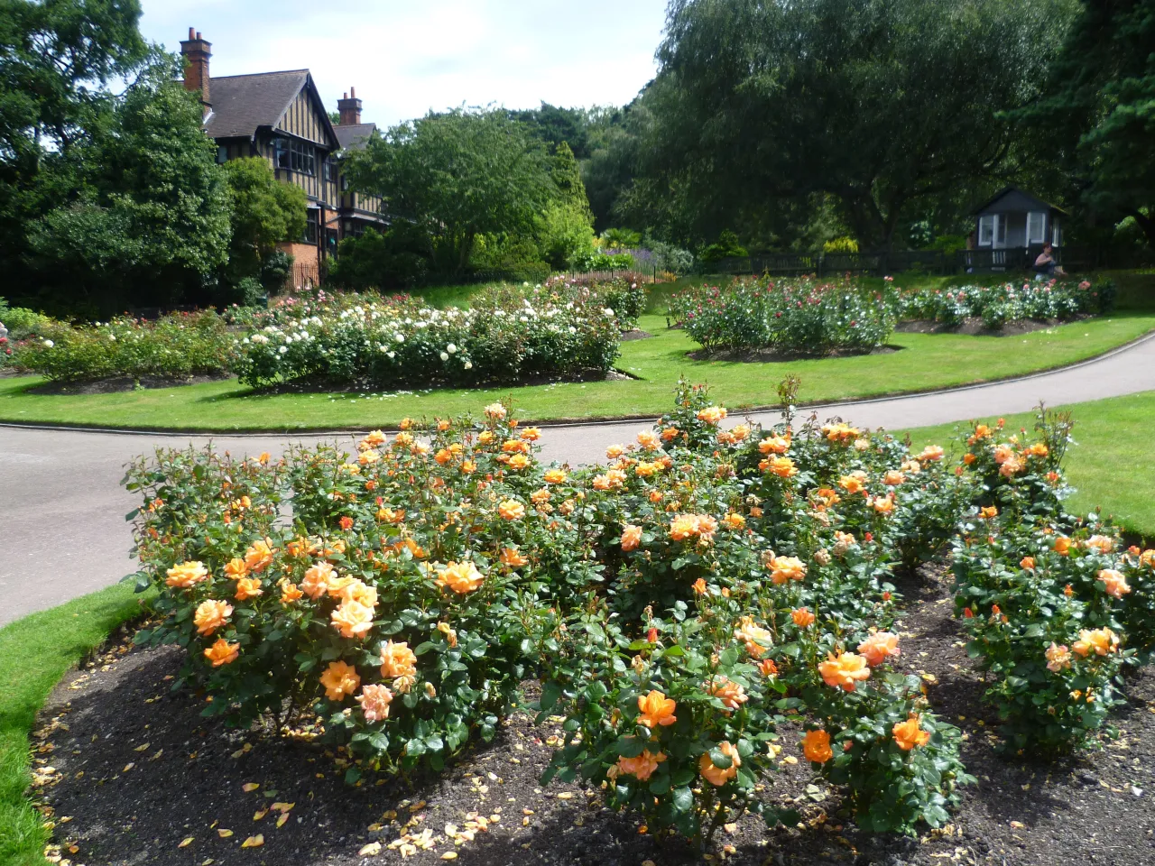 Coombe Wood Gardens near South Croydon, with rose beds and a path