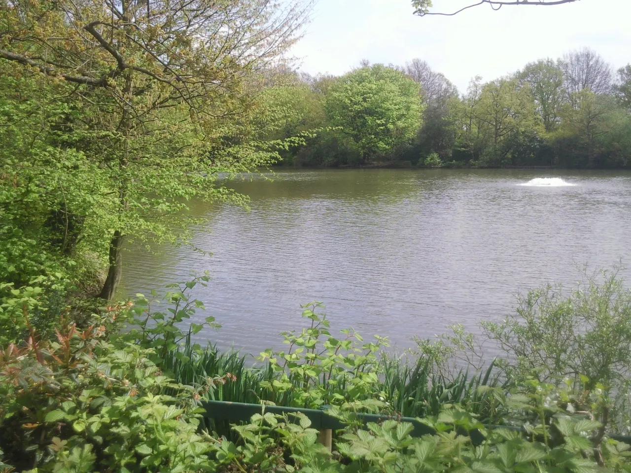 The fishing lake at Crystal Palace Park, near South Norwood