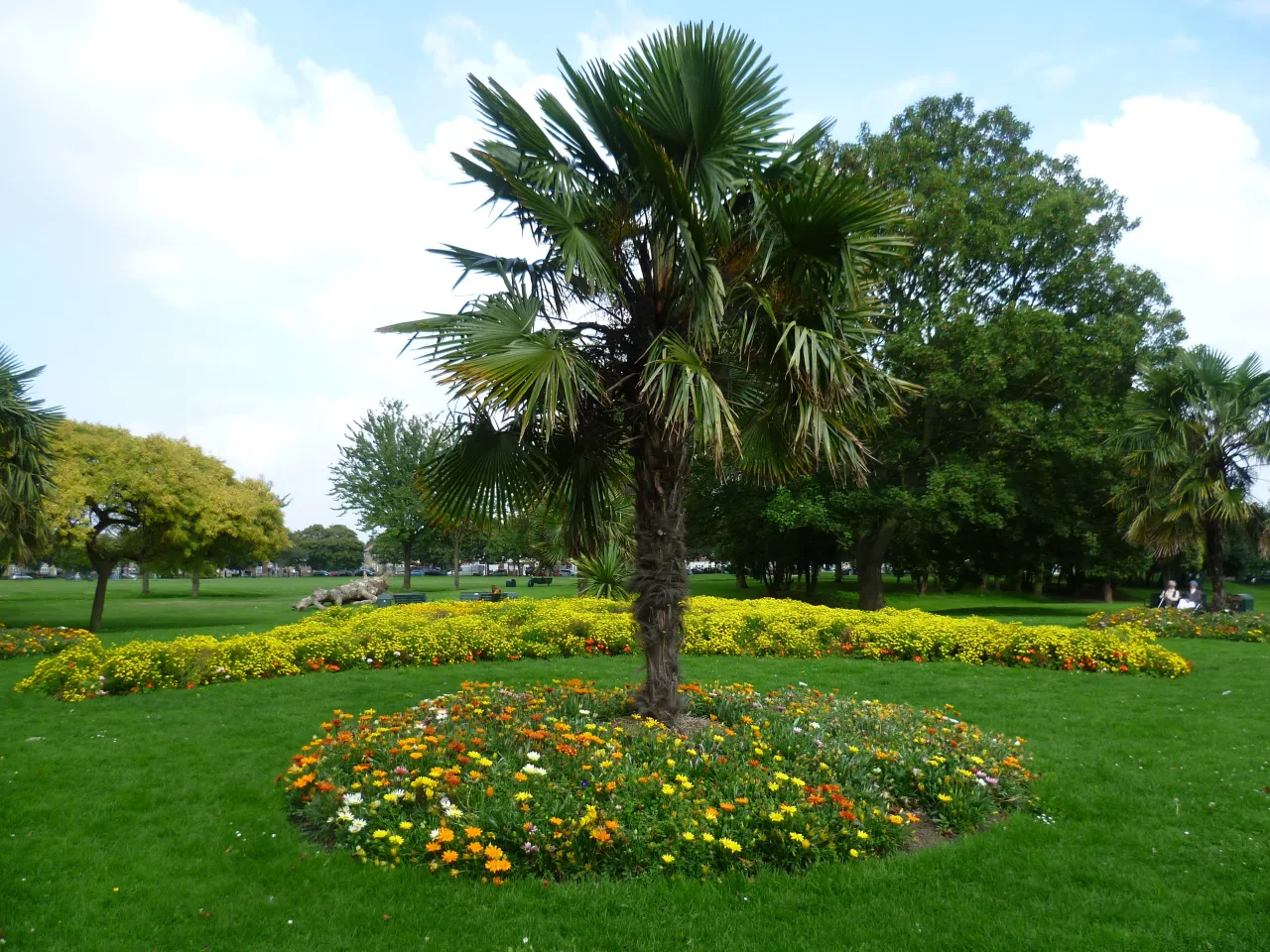 Southall Park, a public park in Southall, Ealing, with flower beds and lawns