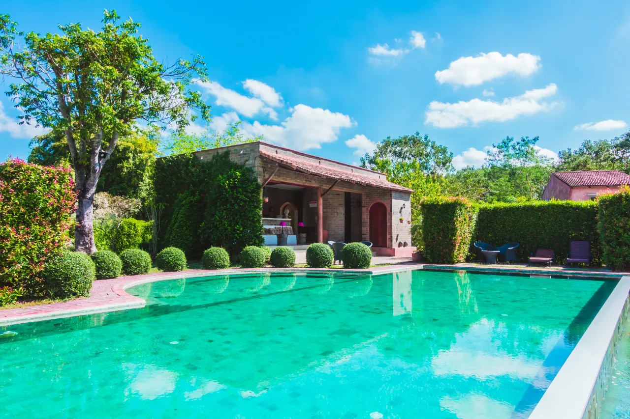 A finished rectangular swimming pool in a mature private garden beside a stone house, the kind of real result that helps a homeowner decide