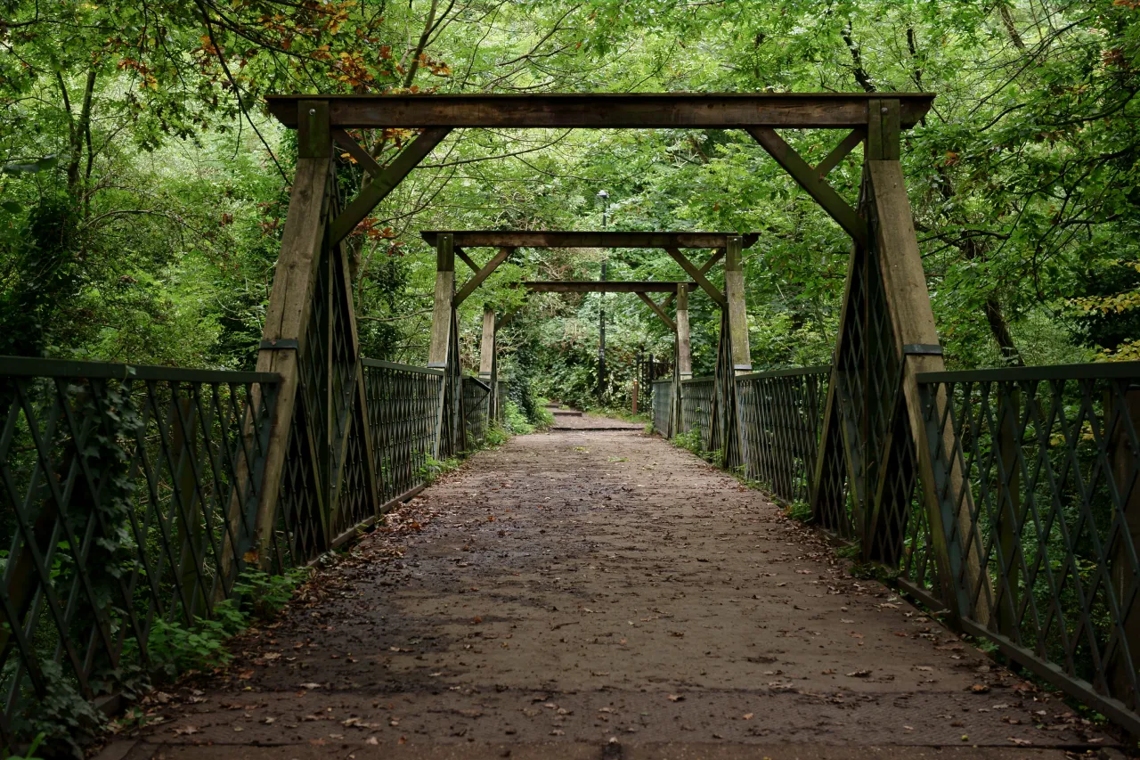 The old railway bridge path through Sydenham Hill Wood