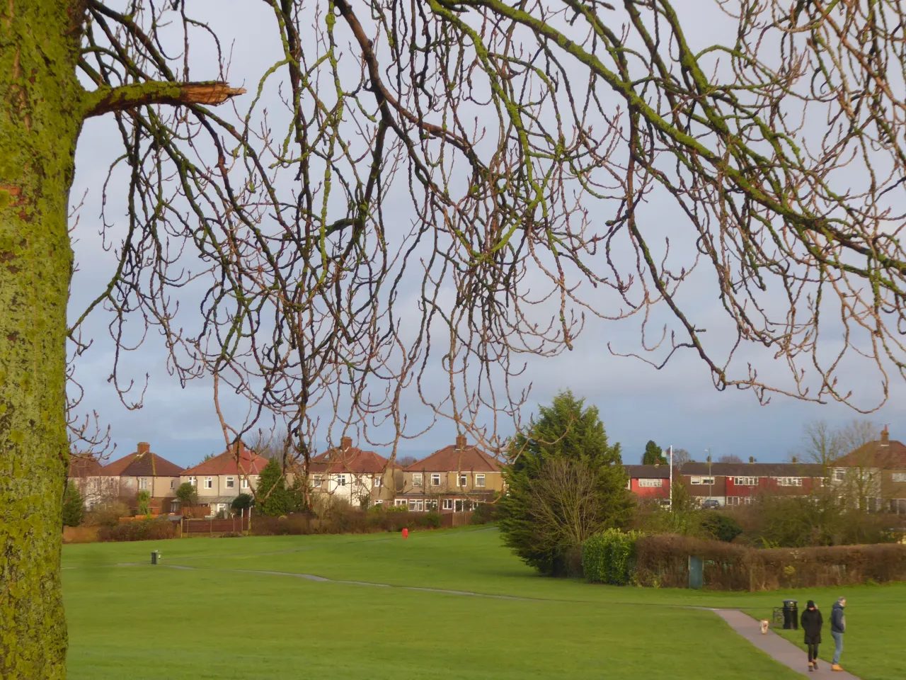 East Wickham Open Space near West Heath, with houses of the surrounding area visible beyond