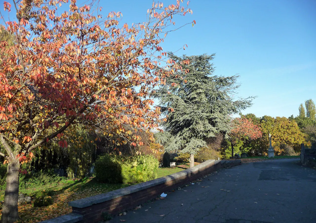 Autumn colours at West Norwood Cemetery