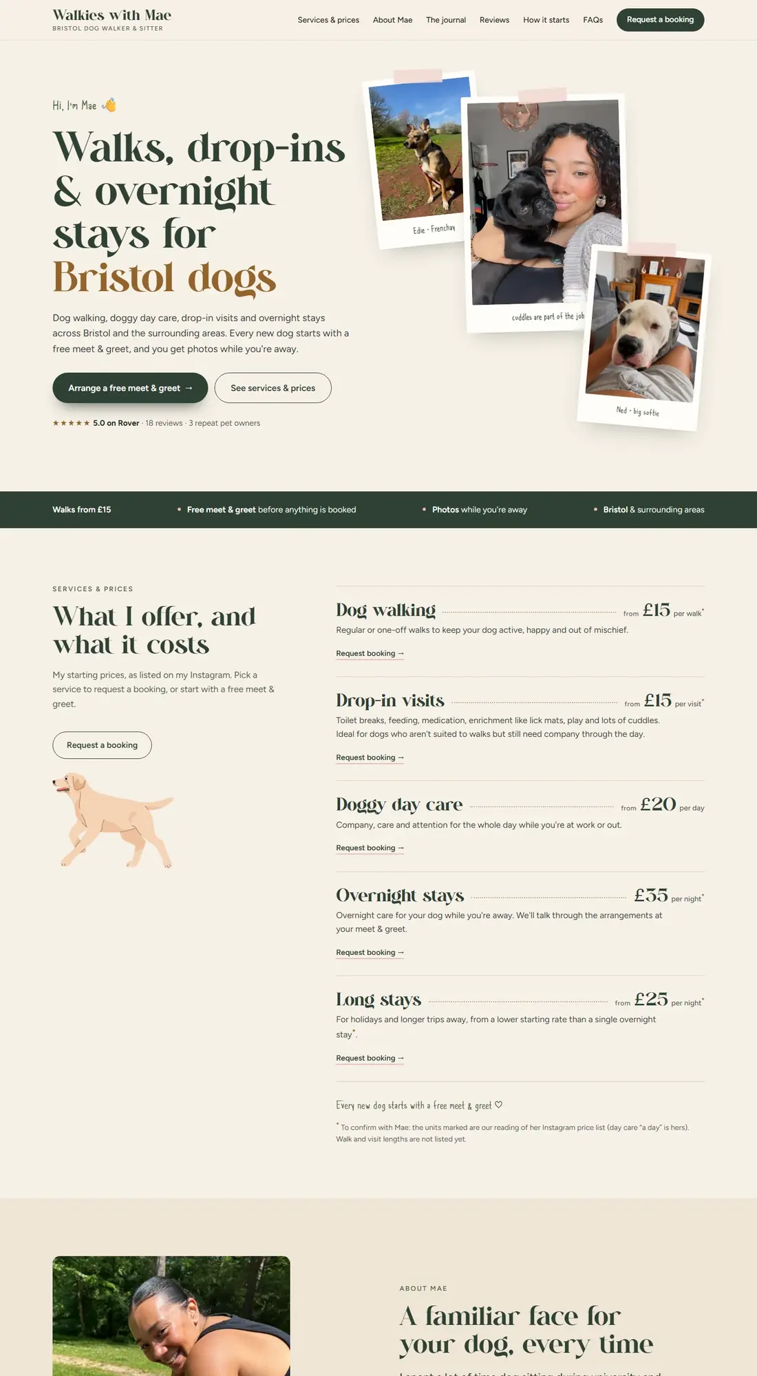 The Walkies with Mae website, designed by PrimeStart